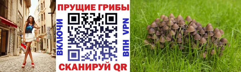 blacksprut tor  магазин продажи   Урай  Псилоцибиновые грибы мухоморы 